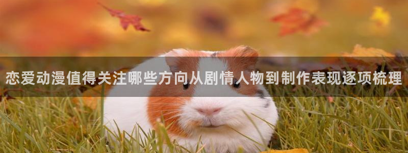 动漫网最新入口