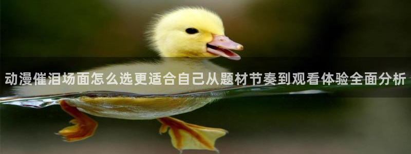 热门动漫网站