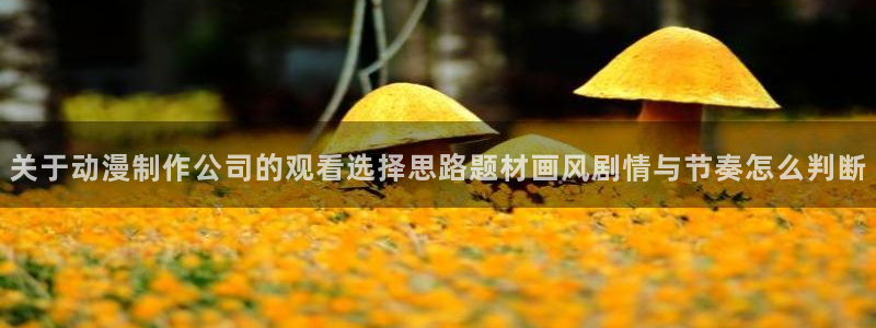 动漫网入口页面