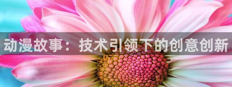 动漫网页入口