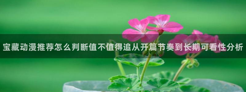 动漫网首页入口