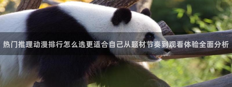 热门动漫网站