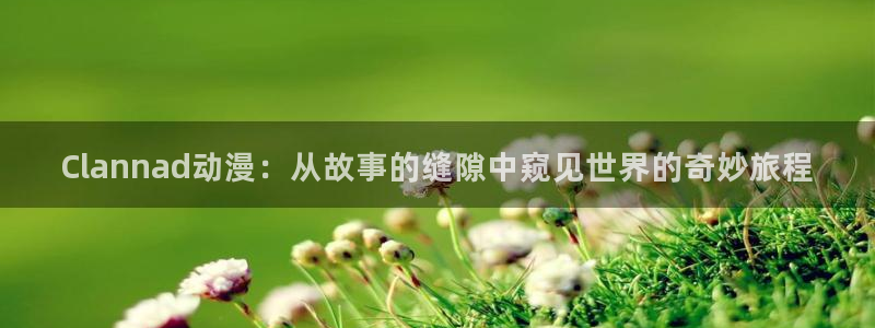 战斗动漫推荐