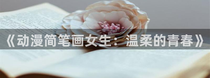 动漫排行榜