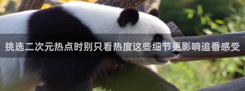 动画新闻