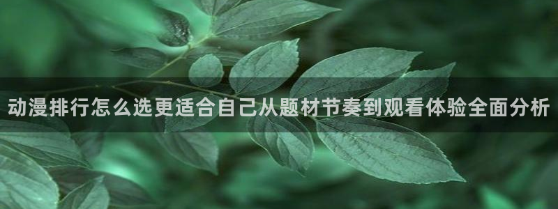 日本动漫网站
