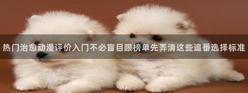 动漫检索
