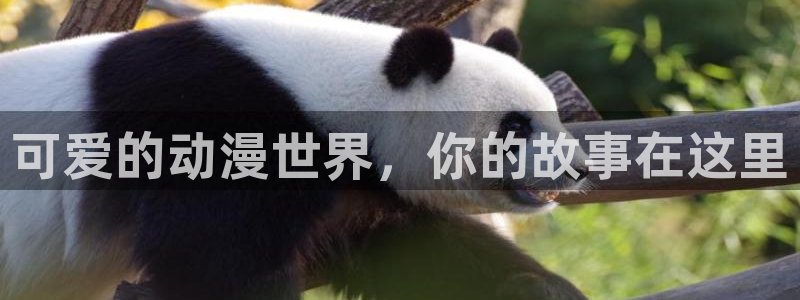 最新动漫更新:可爱的动漫世界,你的故事在这里