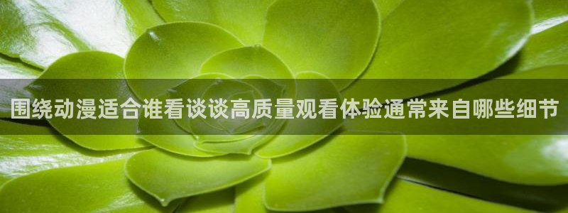 推理动漫:围绕动漫适合谁看谈谈高质量观看体验通常来自哪些细节