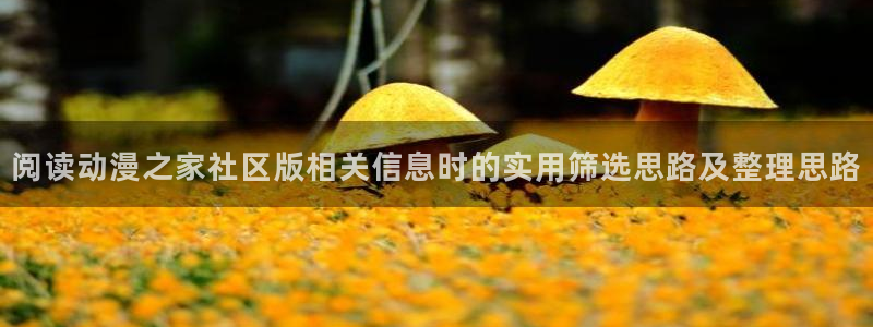 运动动漫推荐:阅读动漫之家社区版相关信息时的实用筛选思路及整理思路