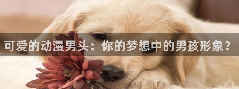 冒险动漫推荐:可爱的动漫男头:你的梦想中的男孩形象?