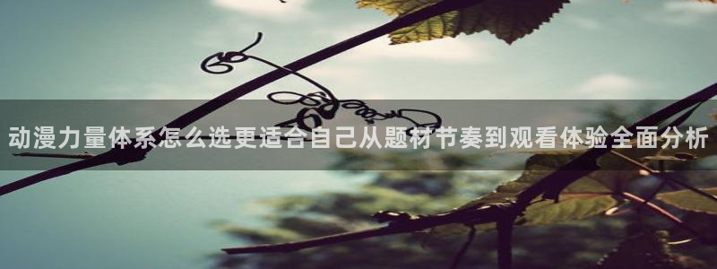 最新动漫资讯:动漫力量体系怎么选更适合自己从题材节奏到观看体验全面分析