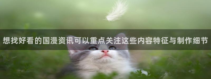 动漫作品搜索