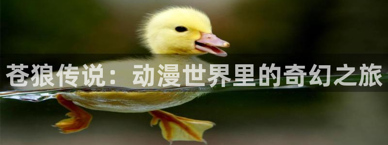 新番动漫推荐
